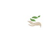Herbs Thai